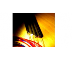 10W高功率单模光纤耦合器