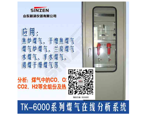 TK-6000焦炉煤气发生<em>炉</em>气体分析系统