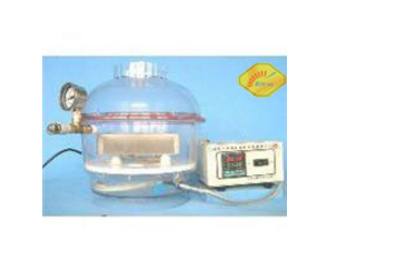 恒温电加热真空干燥器DJR-250
