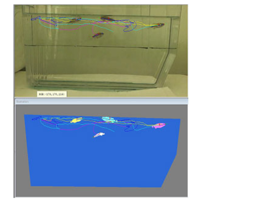 AquaScan斑马<em>鱼</em>行为分析系统