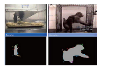 HomecageScan动物<em>精细</em>行为分析系统 
