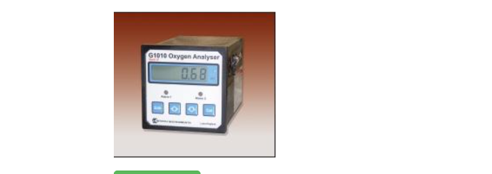 氧分析仪-G1010