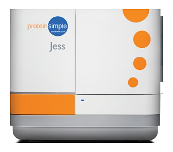 Jess多功能全自动蛋白免疫印迹定量分析系统
