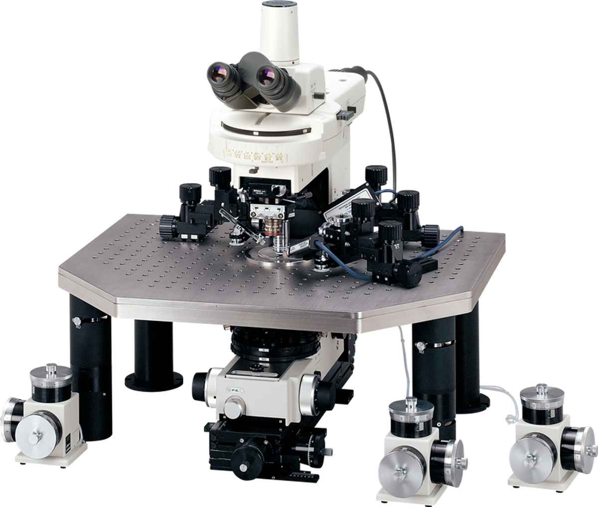 Eclipse FN1正置显微镜（电<em>生理</em>）