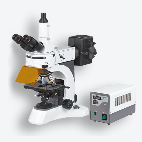 <em>N-800F</em>实验室荧光显微镜