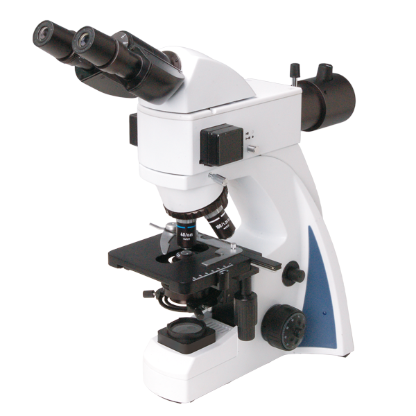 <em>N-300F</em>(LED) 荧光显微镜