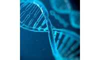 Biomek 基因组工作站 二代测序文库构建（NGS建库）