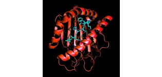 Biomek <em>基因</em>组工作站 HLA 分型