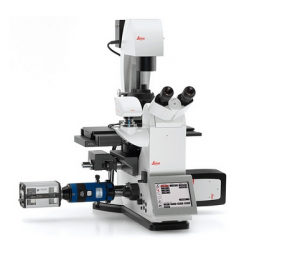  德国徕卡 倒置荧光显微镜 Leica DMi8-电动