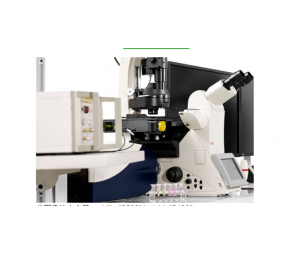 德国徕卡 共聚焦显微镜 TCS SP8 SMD 单分子检测平台
