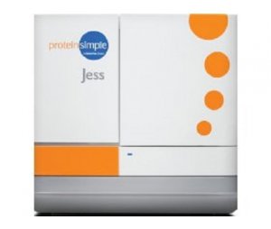 ProteinSimple Jess 多功能全自动蛋白质表达定量分析系统
