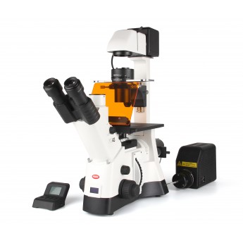PX43 <em>FS</em>6 倒置生物显微镜