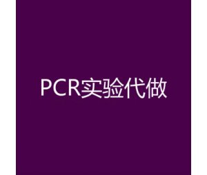 实时荧光定量PCR(RealTime PCR)技术服务