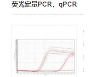 荧光定量PCR，qPCR实验服务