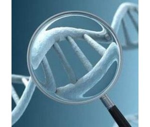 DNA甲基化技术服务