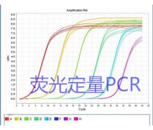 荧光定量PCR（Real-time PCR）