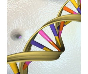 蛋白基因芯片检测