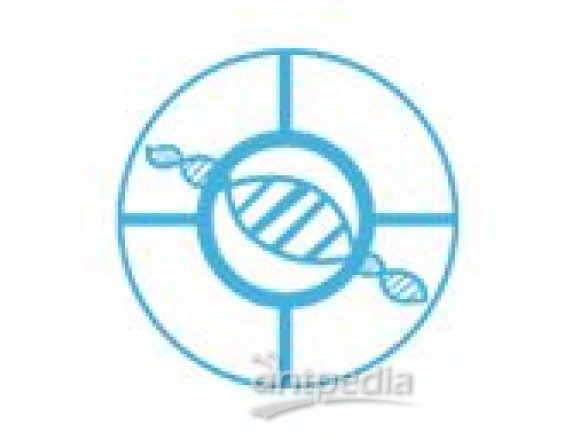 蛋白质富集全基因组甲基化测序（Methylated DNA Binding Domain Sequencing, MBD-Seq）