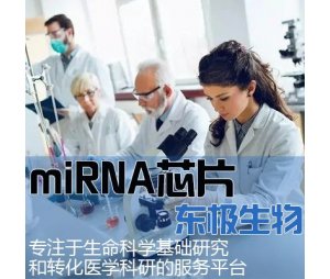 miRNA芯片