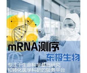 mRNA测序