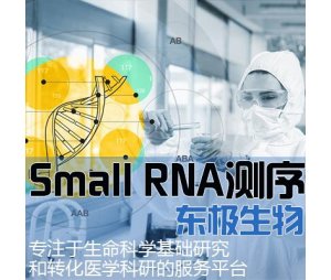 Small RNA测序