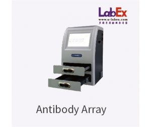 Antibody Array 抗体芯片服务